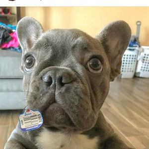 Meet your Posher, Givannah